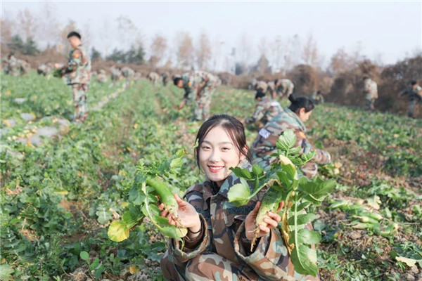 岳乱合集目录200伦