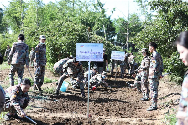岳乱合集目录200伦