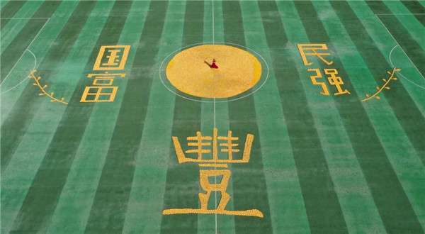 岳乱合集目录200伦