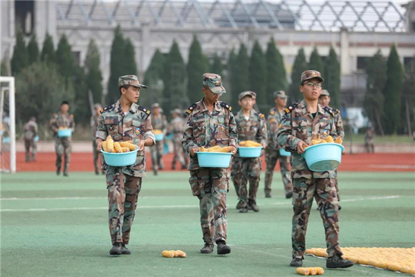 岳乱合集目录200伦