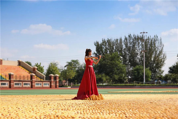 岳乱合集目录200伦