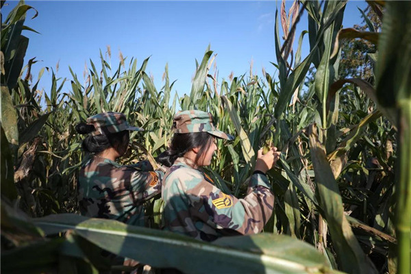 岳乱合集目录200伦