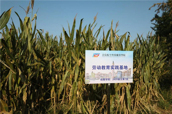 岳乱合集目录200伦