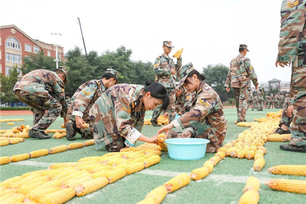 岳乱合集目录200伦
