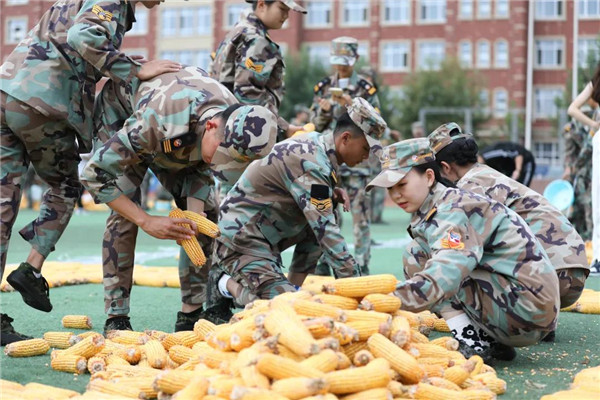 岳乱合集目录200伦