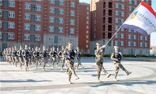 岳乱合集目录200伦