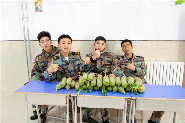 岳乱合集目录200伦