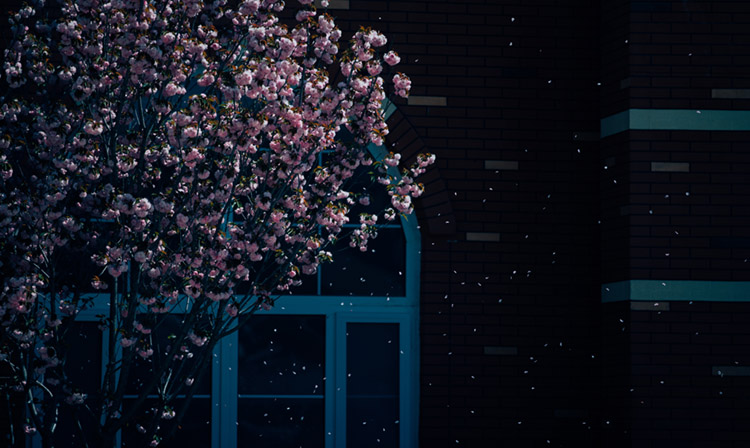 岳乱合集目录200伦