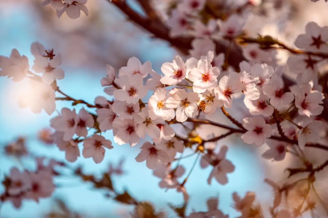 岳乱合集目录200伦