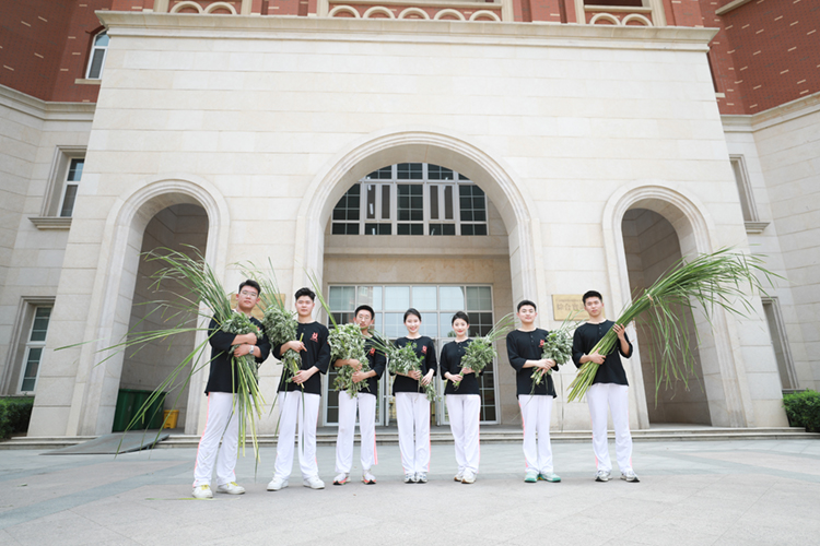 岳乱合集目录200伦