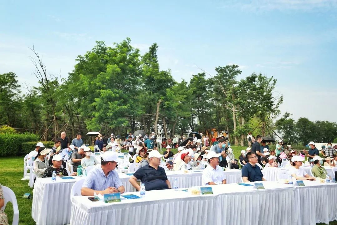 岳乱合集目录200伦