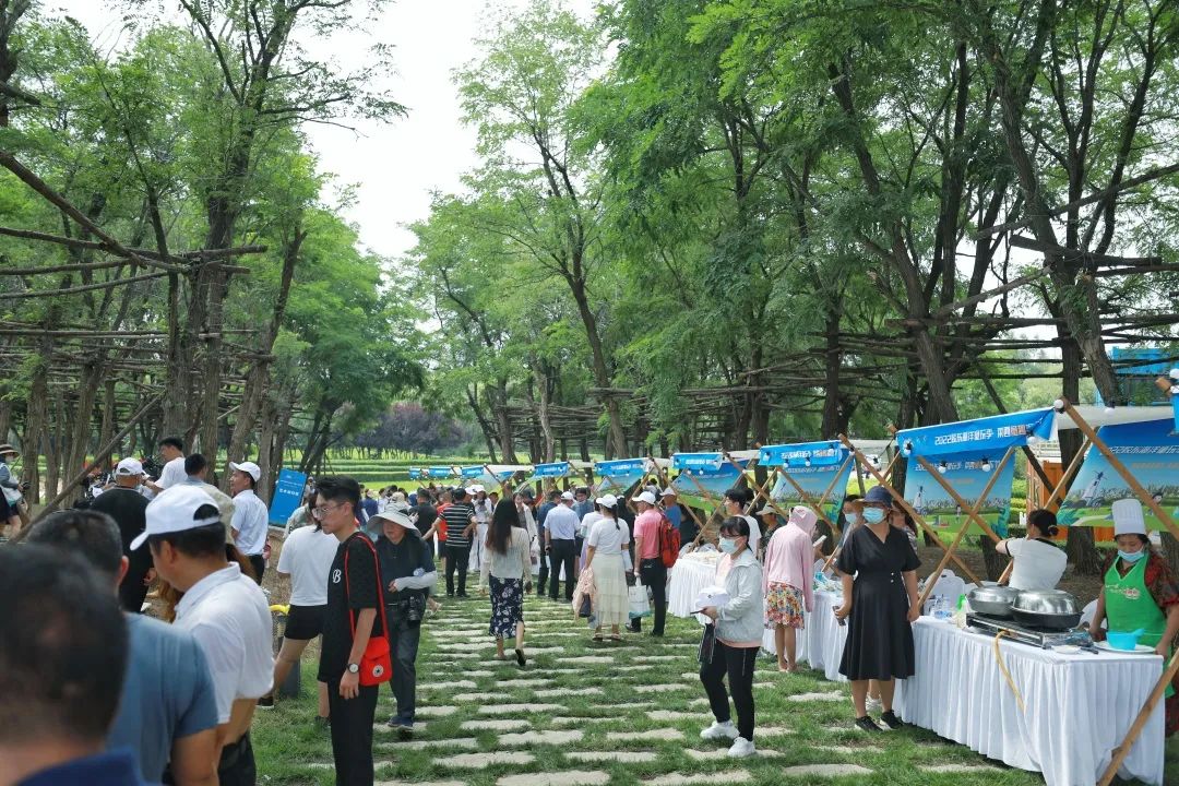 岳乱合集目录200伦