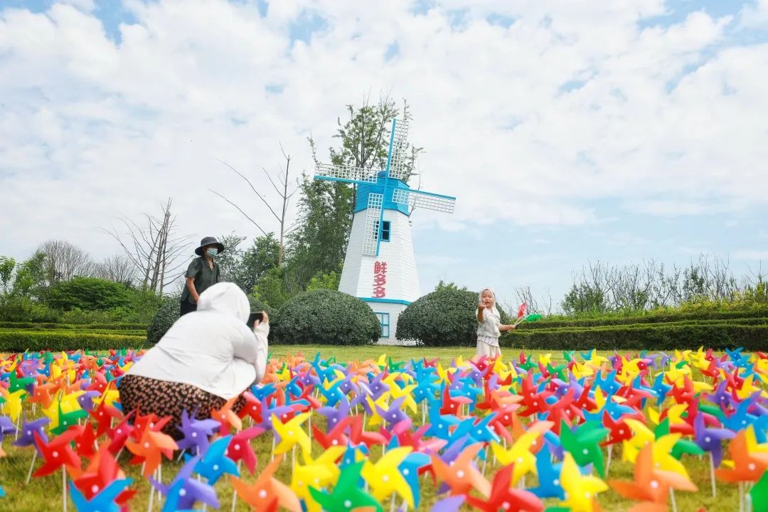 岳乱合集目录200伦