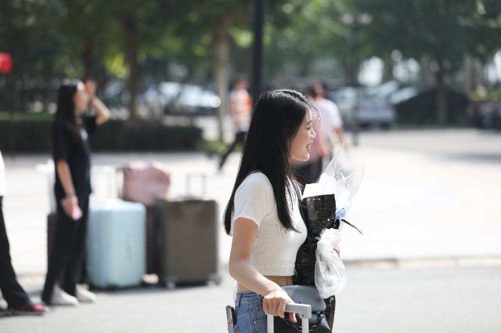 岳乱合集目录200伦