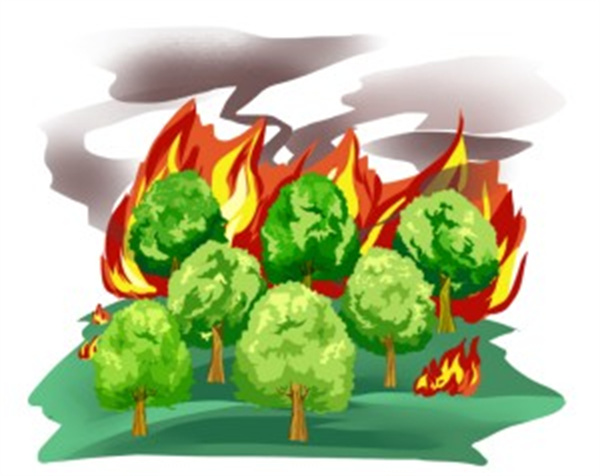 岳乱合集目录200伦