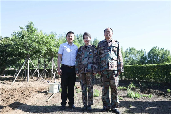 岳乱合集目录200伦