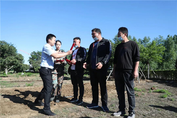 岳乱合集目录200伦