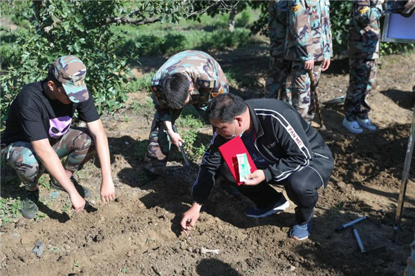 岳乱合集目录200伦